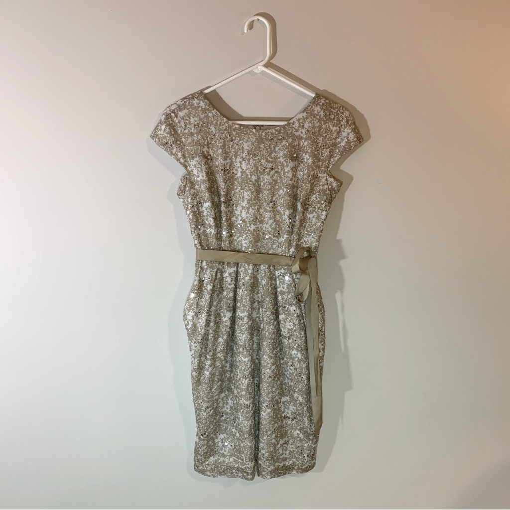 Women’s Dresssize 4 Petite Alex Eveningswhite/Tan With Silver Sequins & Belt.